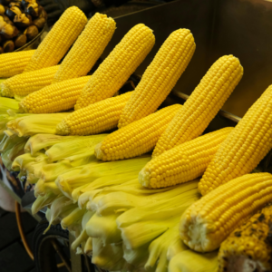 Sweet Corn